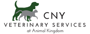 Link to Homepage of CNY Veterinary Services at Animal Kingdom
